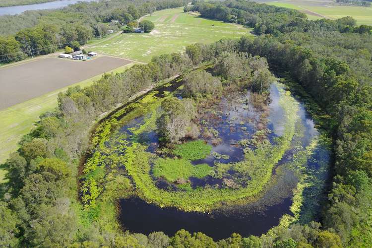 Seventh view of Homely ruralOther listing, 1499 Roys Road, Coochin Creek QLD 4519