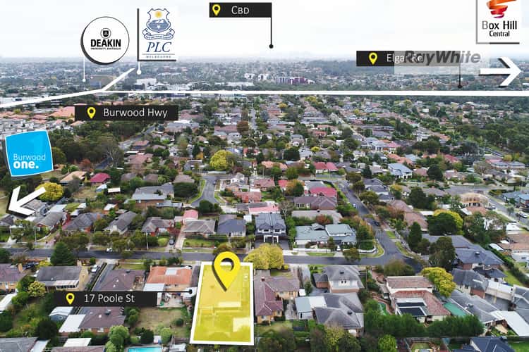 Second view of Homely house listing, 17 Poole Street, Burwood VIC 3125