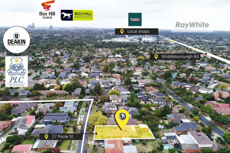 Third view of Homely house listing, 17 Poole Street, Burwood VIC 3125
