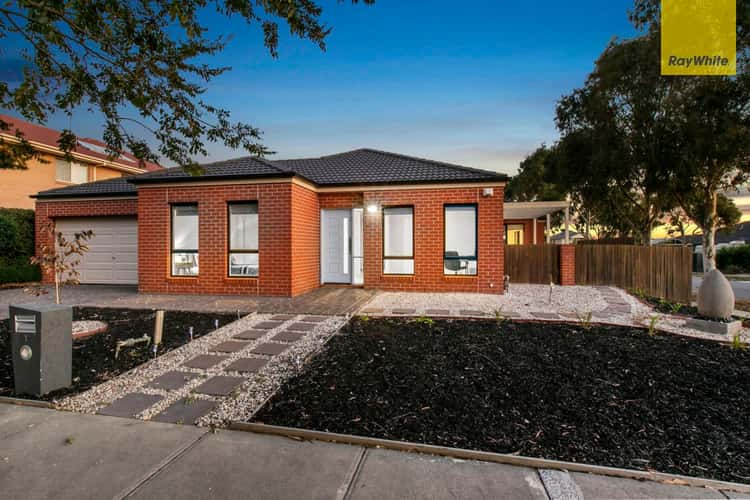 1 Amley Grove, Berwick VIC 3806