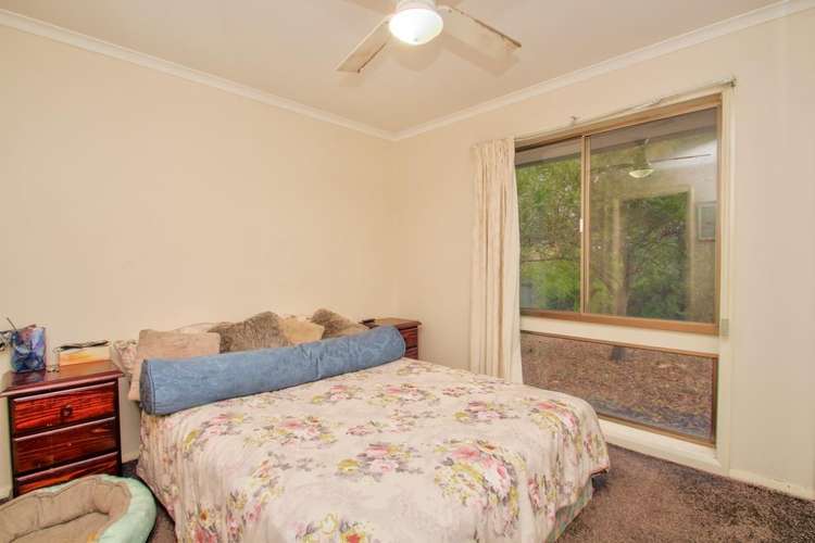 Fifth view of Homely house listing, 56 Barinya Street, Barooga NSW 3644