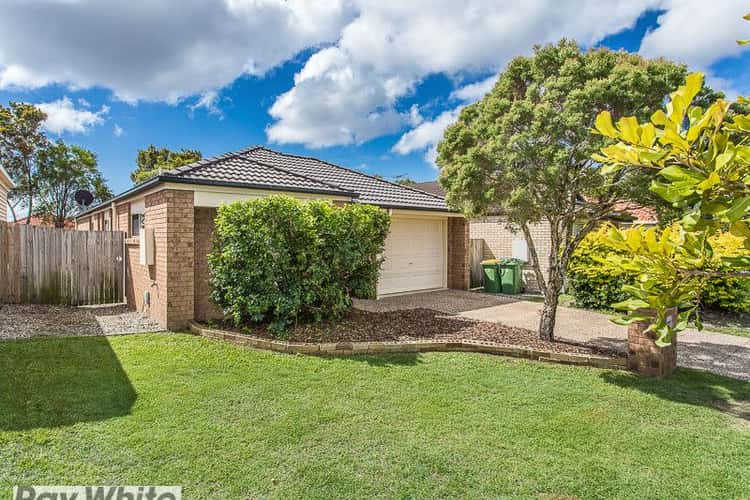 Main view of Homely house listing, 19 Cheviot Street, North Lakes QLD 4509