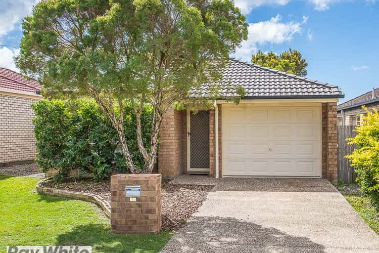 Second view of Homely house listing, 19 Cheviot Street, North Lakes QLD 4509