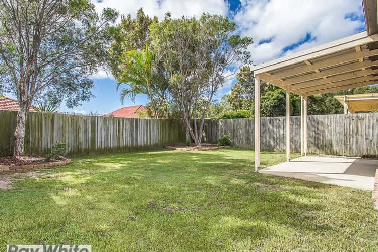 Third view of Homely house listing, 19 Cheviot Street, North Lakes QLD 4509