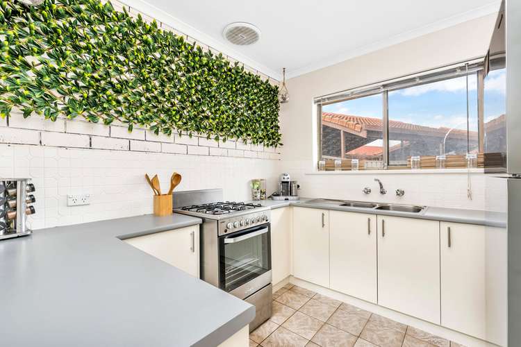 Fifth view of Homely unit listing, 2/3 Goodwin Street, Newton SA 5074