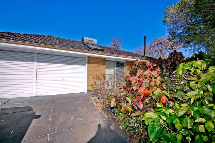 Main view of Homely house listing, 1 Tame Court, Dianella WA 6059