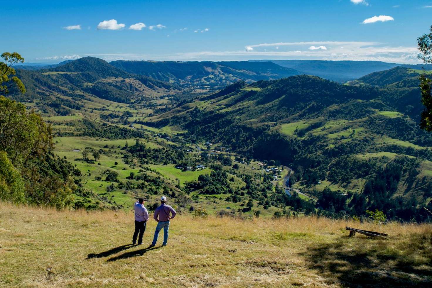 Main view of Homely acreageSemiRural listing, 320 Tabletop Road, Canungra QLD 4275