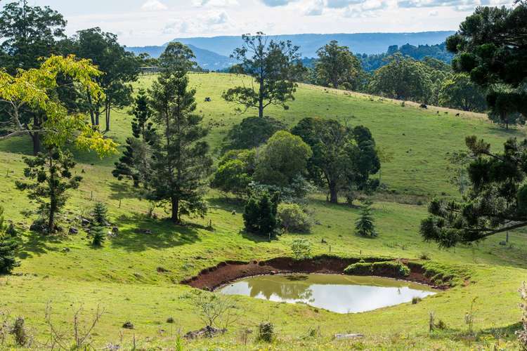 Third view of Homely acreageSemiRural listing, 320 Tabletop Road, Canungra QLD 4275