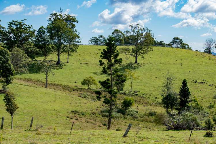 Fifth view of Homely acreageSemiRural listing, 320 Tabletop Road, Canungra QLD 4275