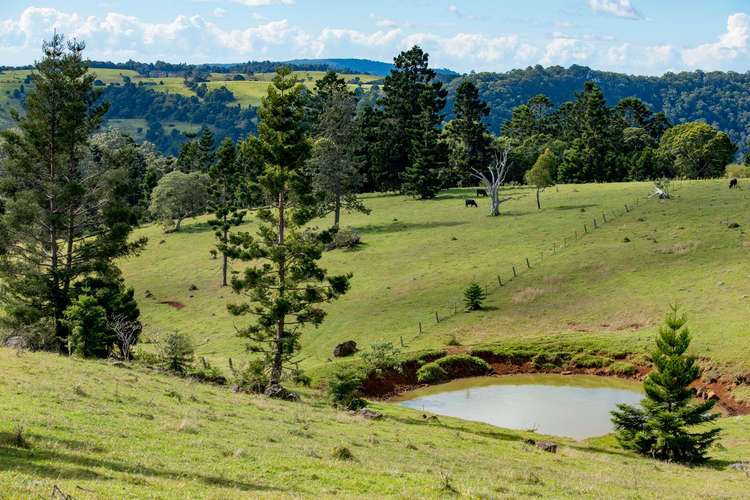 Sixth view of Homely acreageSemiRural listing, 320 Tabletop Road, Canungra QLD 4275