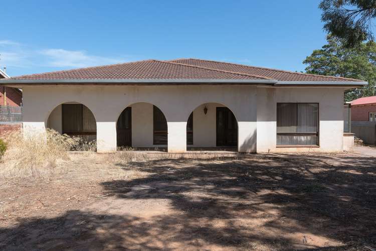 Main view of Homely house listing, 24 Lincoln Avenue, Colonel Light Gardens SA 5041