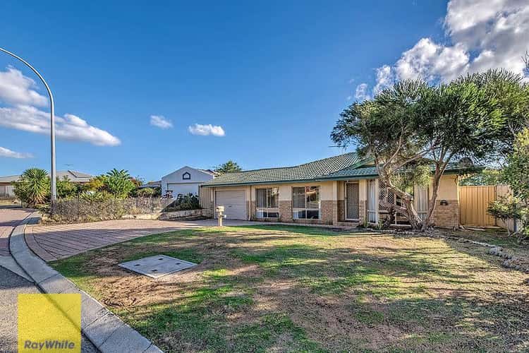 Main view of Homely house listing, 10 Lenswood Retreat, Clarkson WA 6030