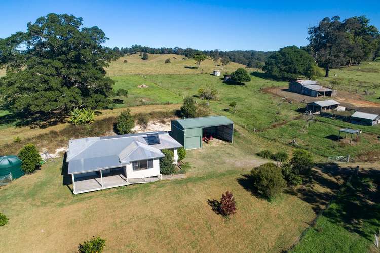 Fifth view of Homely ruralOther listing, 347 Hydes Creek Road, Bellingen NSW 2454