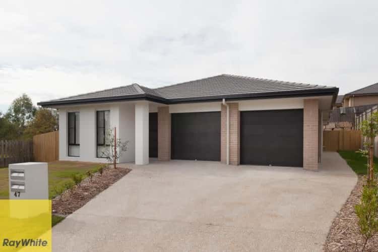 Main view of Homely house listing, 47B Essington Mews, Leichhardt QLD 4305