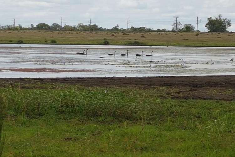 Fourth view of Homely ruralOther listing, 15 Watts Road (Lakeview), Gracemere QLD 4702