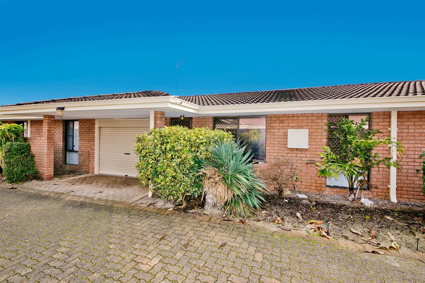 Main view of Homely villa listing, 3/23 Fitzpatrick Way, Noranda WA 6062