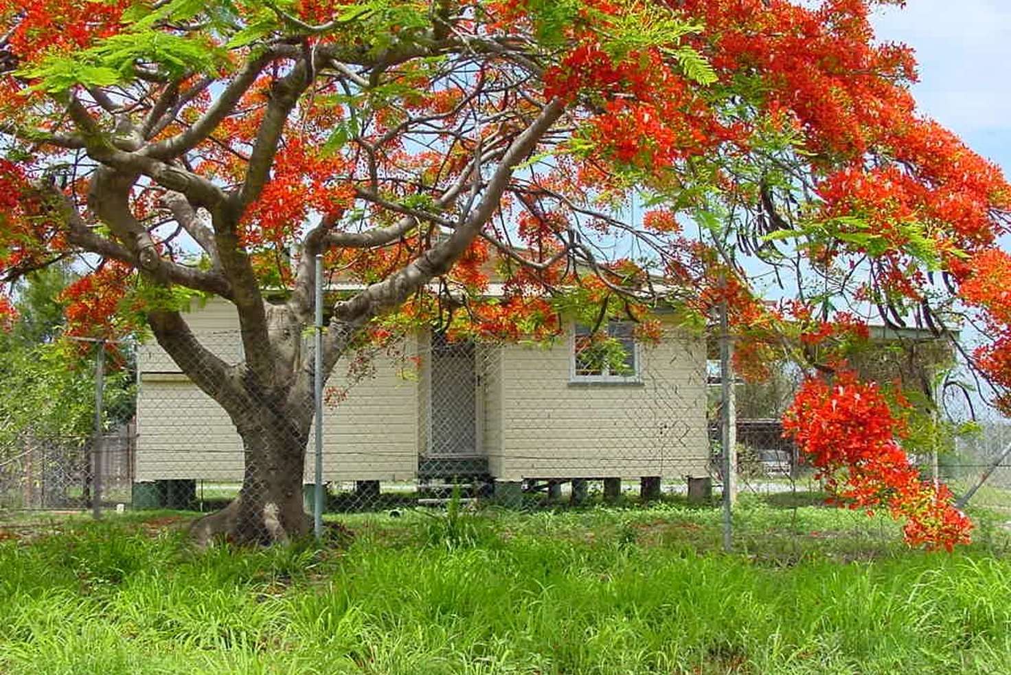 Main view of Homely house listing, 79 Oaka Lane, Gladstone Central QLD 4680