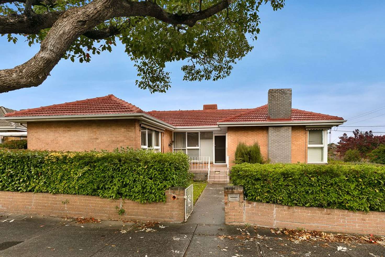 Main view of Homely house listing, 36 Middleborough Road, Burwood East VIC 3151