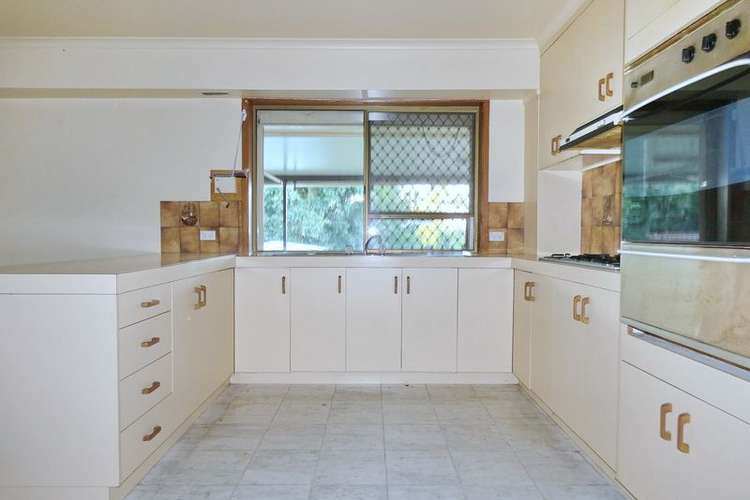 Main view of Homely house listing, 17 Sunland Street, Beenleigh QLD 4207