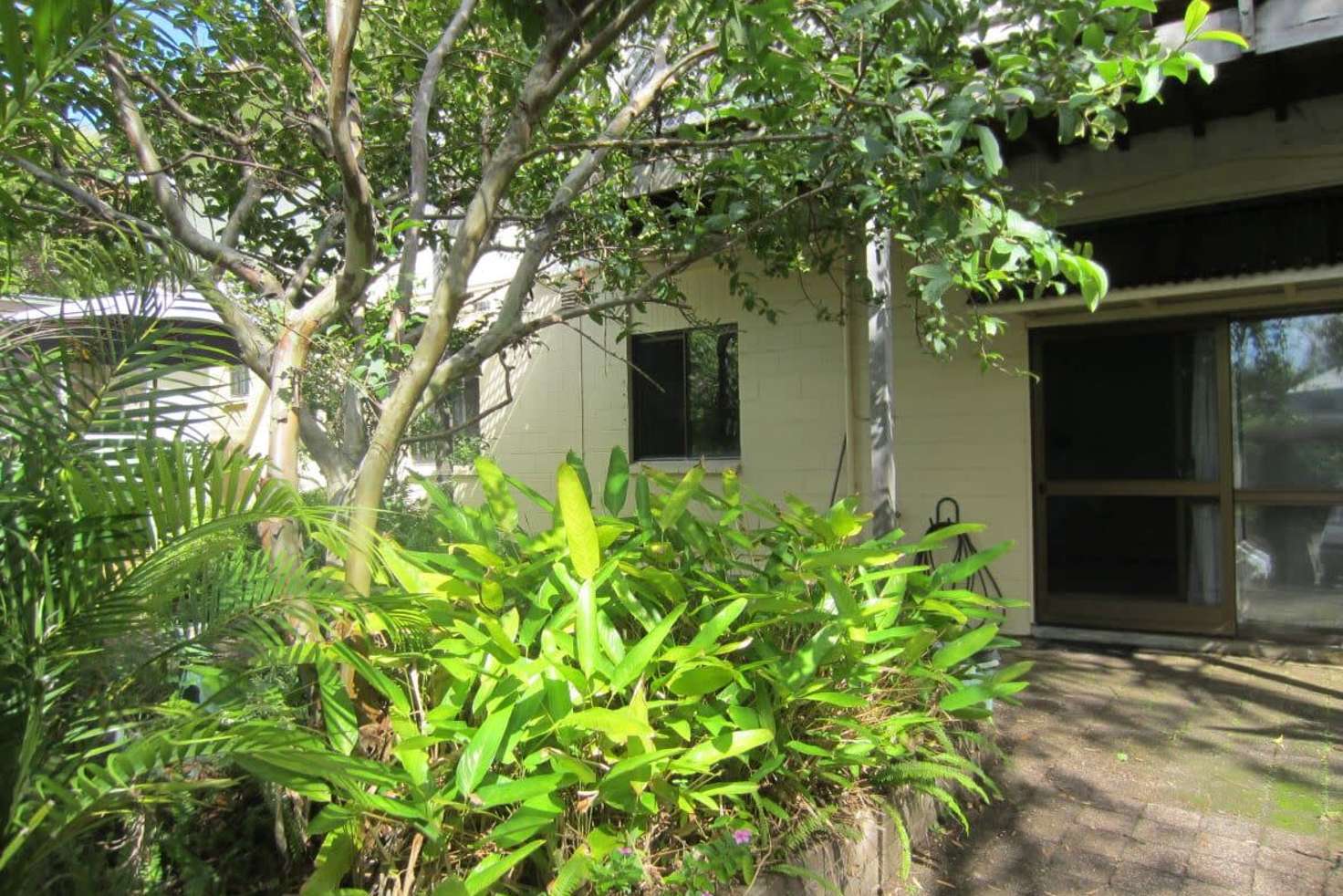 Main view of Homely unit listing, 37A Paterson Street, Byron Bay NSW 2481