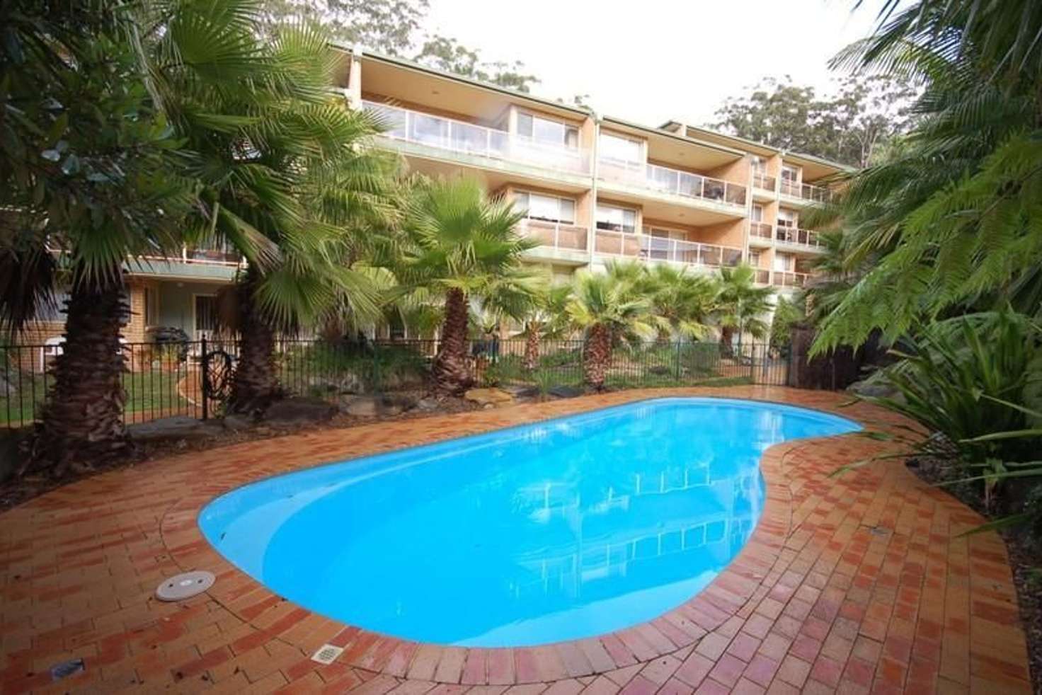Main view of Homely unit listing, 11/117 John Whiteway Drive, Gosford NSW 2250
