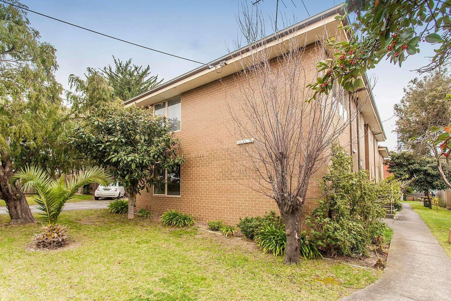 Main view of Homely apartment listing, 1/63 Severn Street, Box Hill North VIC 3129