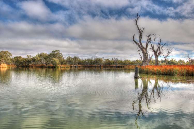 Second view of Homely house listing, Site 14A Cobdogla Caravan Park, Cobdogla SA 5346