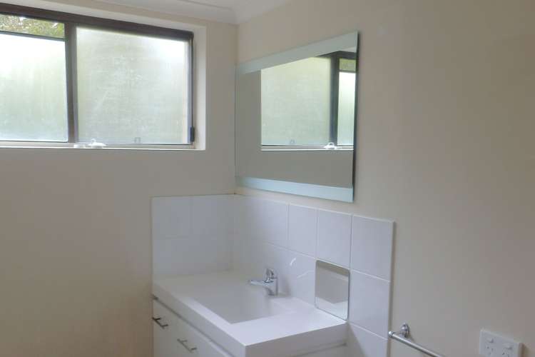 Fifth view of Homely unit listing, 1/37 Franz Road, Clayfield QLD 4011