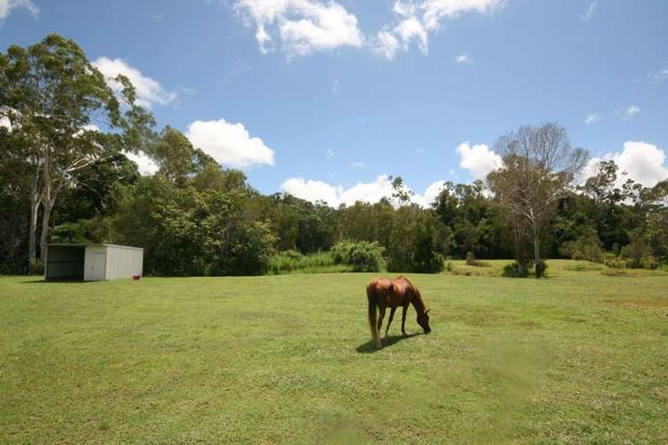 Third view of Homely acreageSemiRural listing, 13 Pandanus Place, Speewah QLD 4881