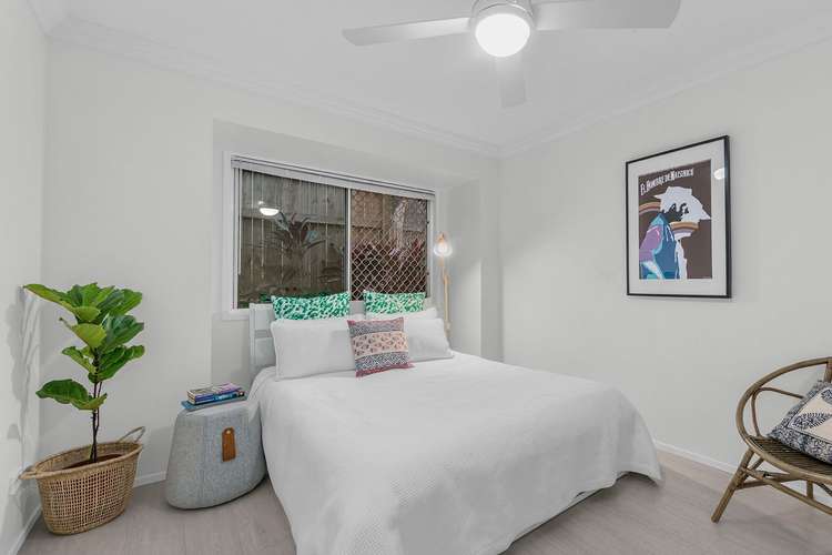 Sixth view of Homely unit listing, 3/45 Chester Road, Annerley QLD 4103