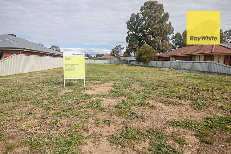 Main view of Homely residentialLand listing, 174 Jude Street, Howlong NSW 2643