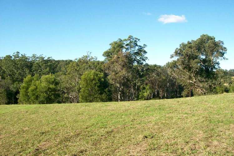Fourth view of Homely residentialLand listing, 38 Jordan Road, Bellingen NSW 2454
