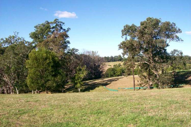 Fifth view of Homely residentialLand listing, 38 Jordan Road, Bellingen NSW 2454