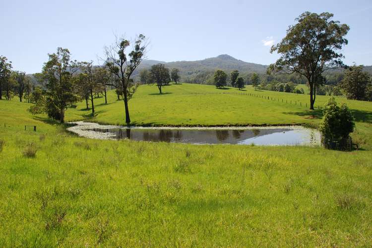 Second view of Homely ruralOther listing, 149 Jack Smiths Road, Brays Creek NSW 2484