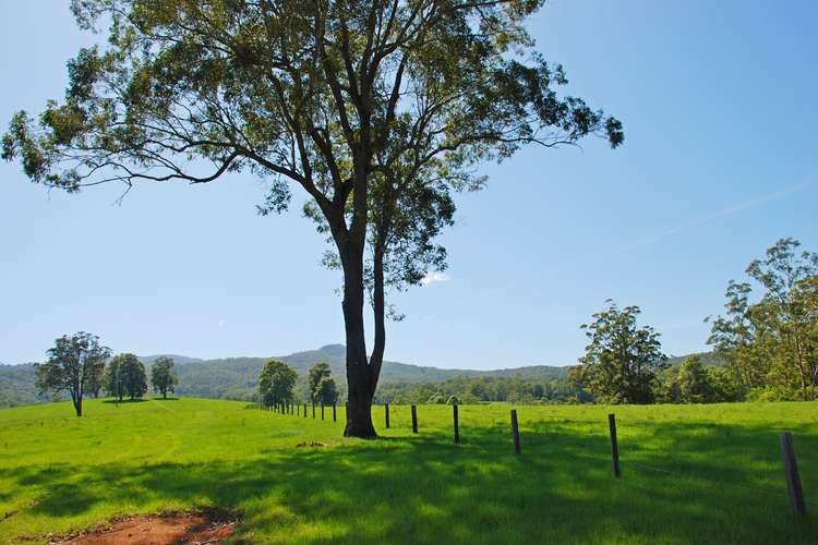 Fourth view of Homely ruralOther listing, 149 Jack Smiths Road, Brays Creek NSW 2484