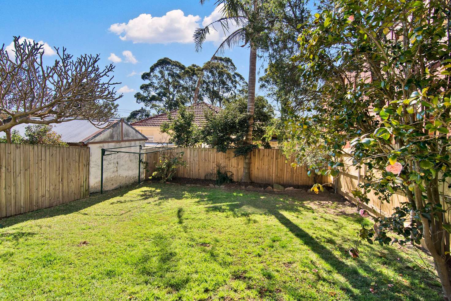 Main view of Homely house listing, 3 Pine Street, Cammeray NSW 2062