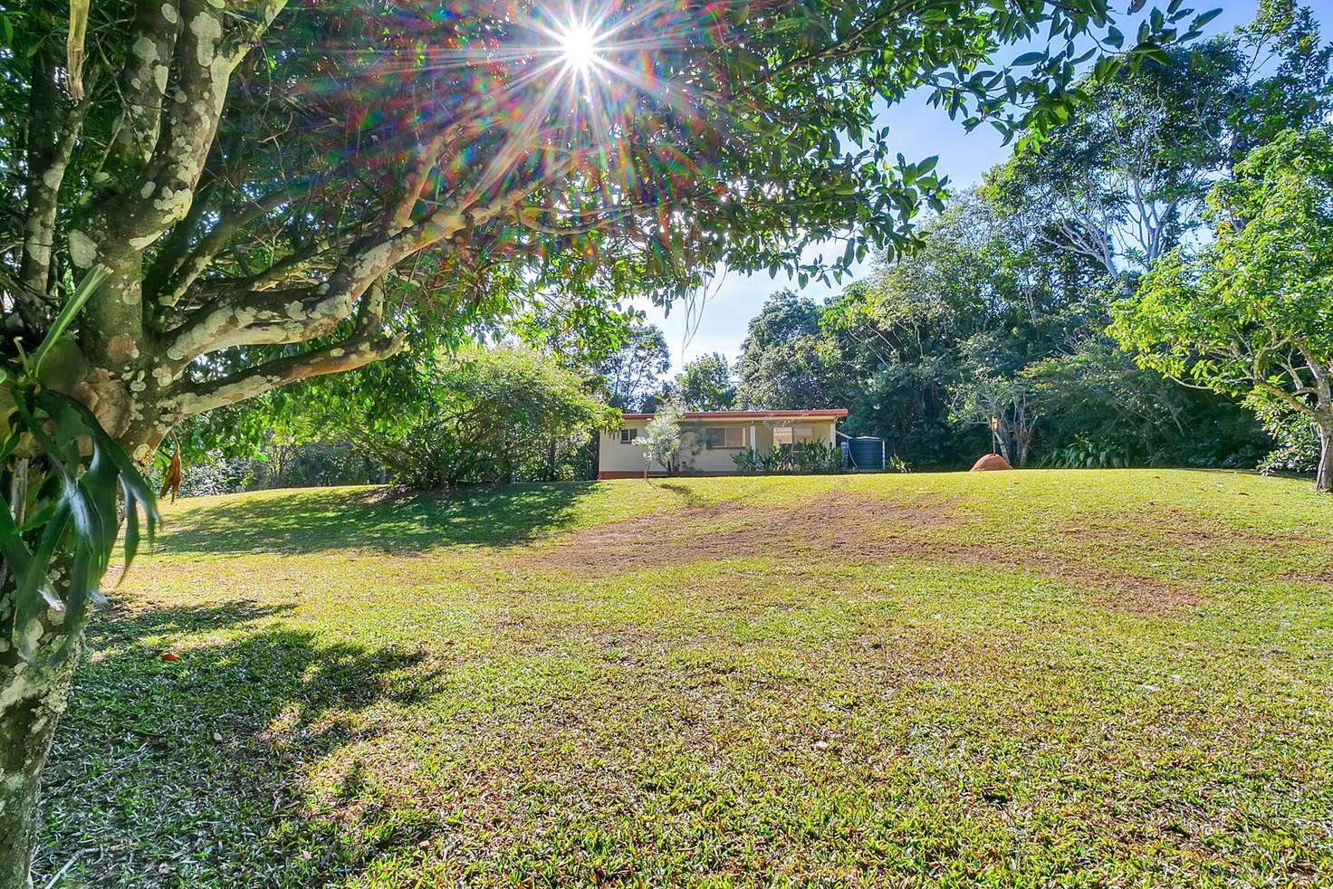 Main view of Homely house listing, 242 Ganyan Drive, Speewah QLD 4881