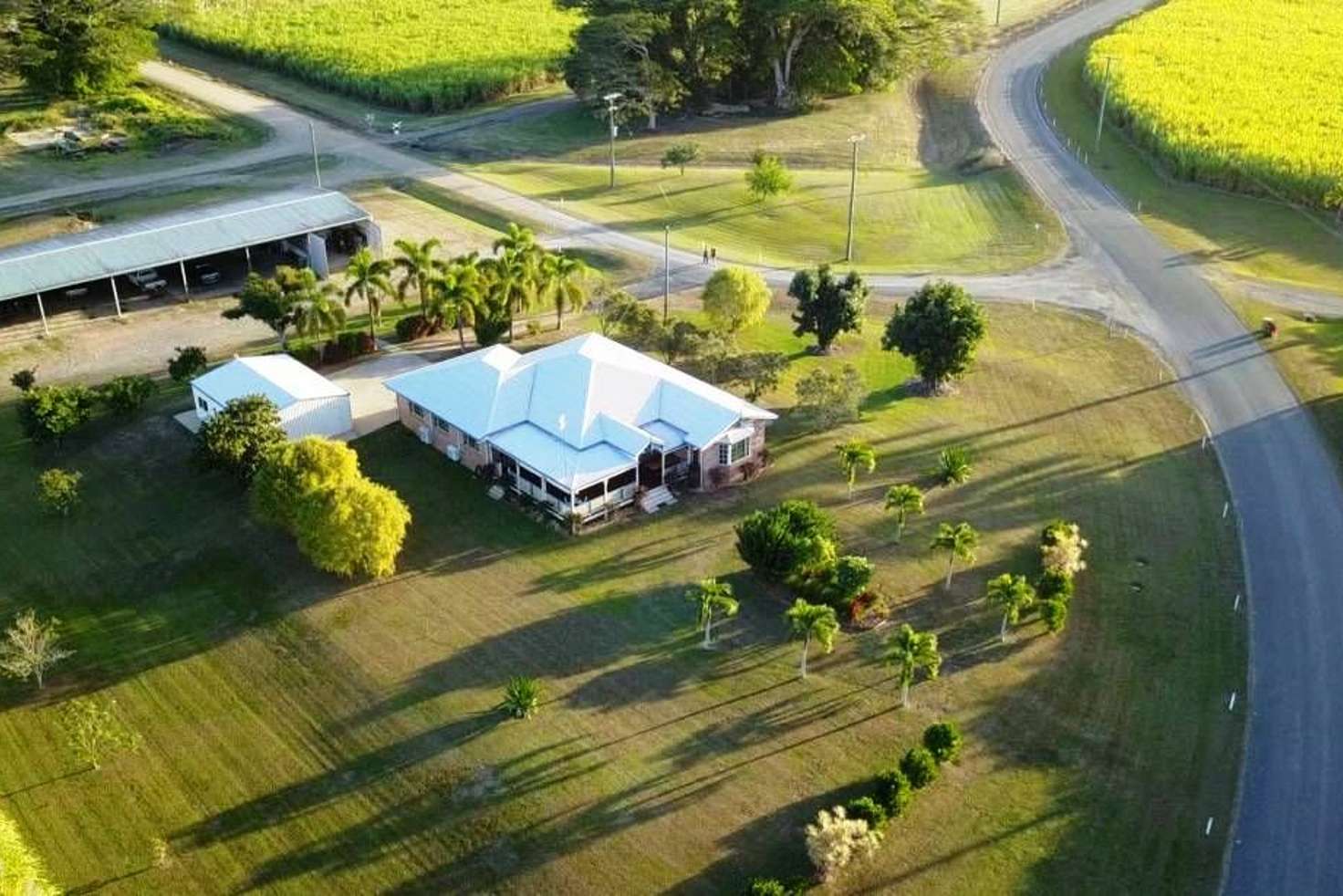 Main view of Homely acreageSemiRural listing, 986 Halifax Road, Cordelia QLD 4850