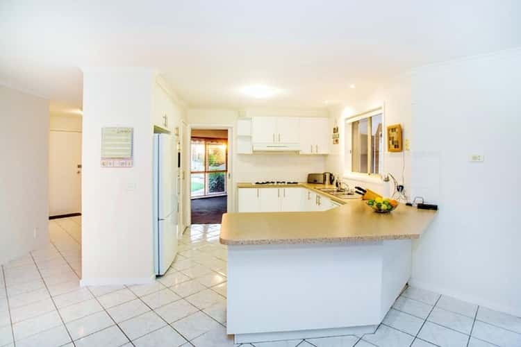 Second view of Homely house listing, 31 Bianca Drive, Aspendale Gardens VIC 3195