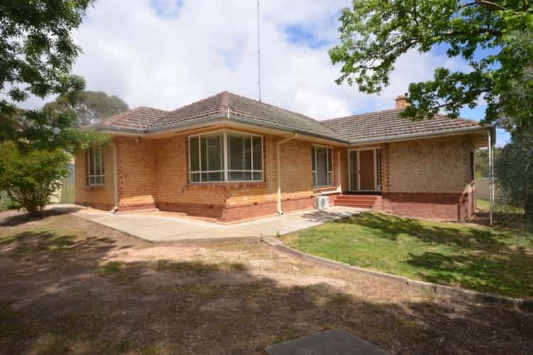 Main view of Homely house listing, 5 Webb Street, Clare SA 5453
