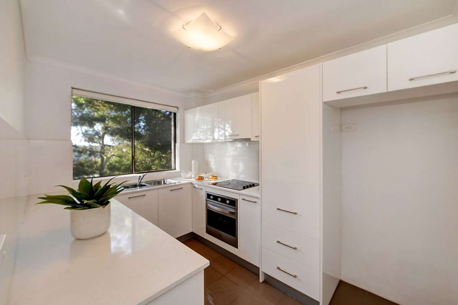 Main view of Homely apartment listing, 4/62 Palmer Street, Cammeray NSW 2062