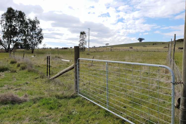 Main view of Homely residentialLand listing, 46 Pine Street, Avenel VIC 3664