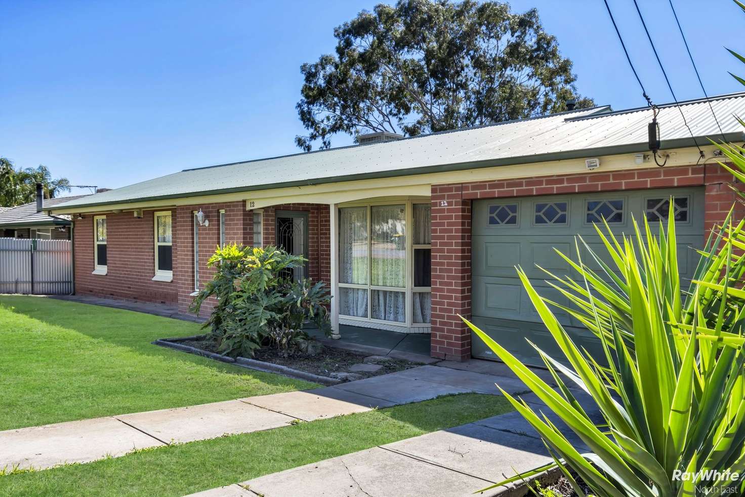 Main view of Homely house listing, 12 Mannum Street, Vista SA 5091