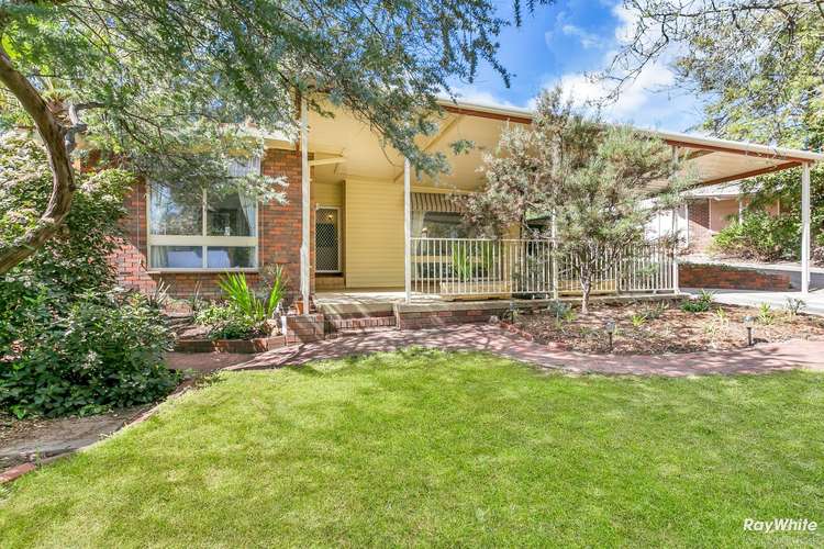 78 Haines Road, Banksia Park SA 5091