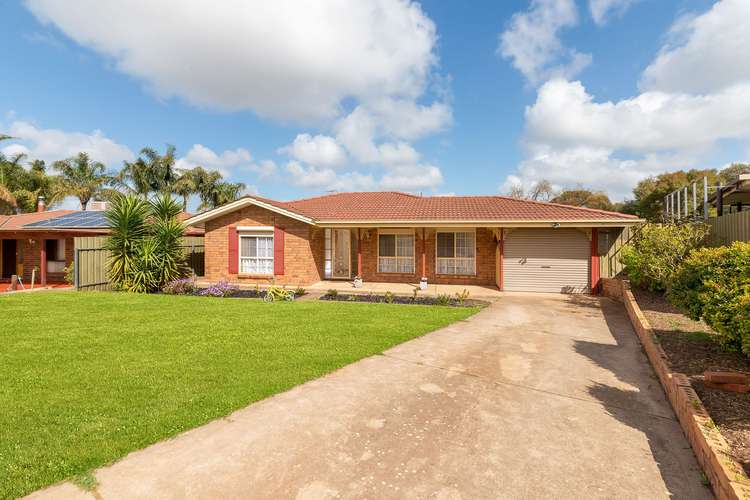 Main view of Homely house listing, 31 Causby Crescent, Willaston SA 5118