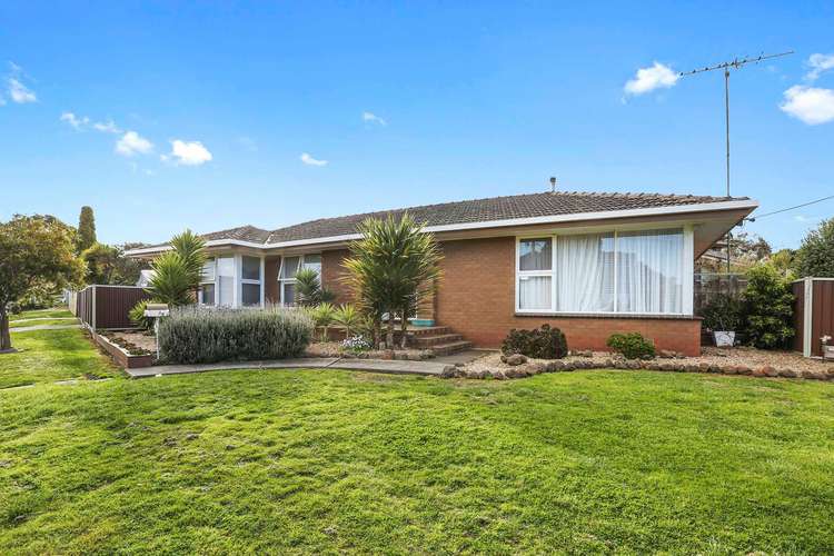 Main view of Homely house listing, 24 Fairfield Avenue, Belmont VIC 3216