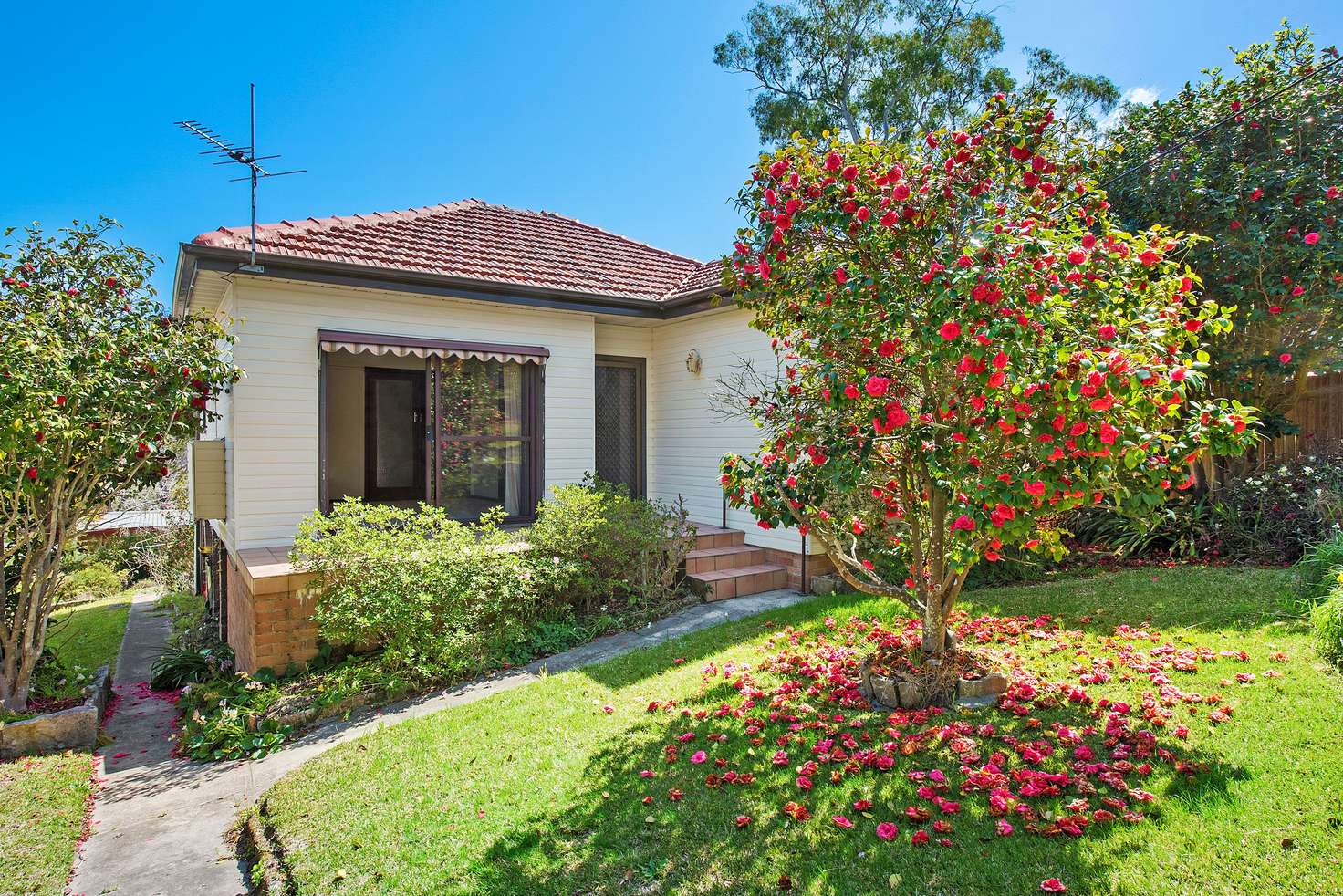 Main view of Homely house listing, 58 Wall Avenue, Asquith NSW 2077