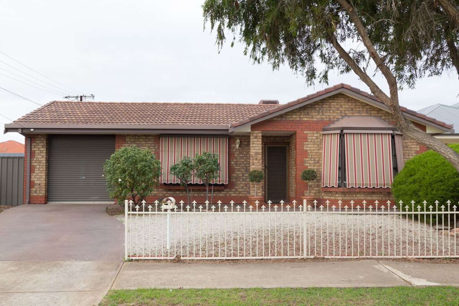 Main view of Homely house listing, 31 Tasman Avenue, Flinders Park SA 5025