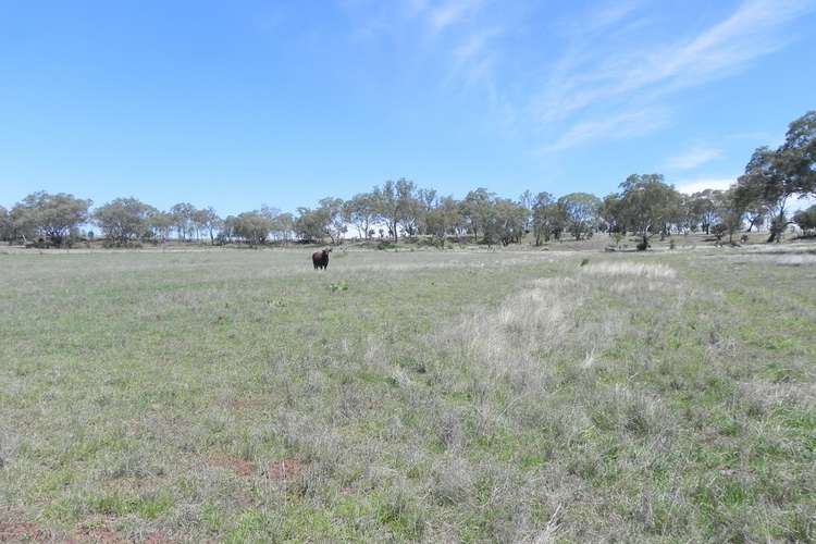 Sixth view of Homely ruralOther listing, 0 F Drews Road, Biddeston QLD 4401