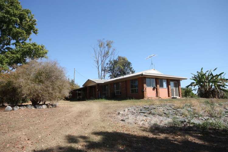 Third view of Homely ruralOther listing, 1631 Mt Larcom-Bracewell Road, Bracewell QLD 4695